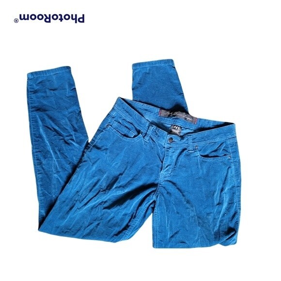 Pants - Black Hearts Brigade Blue Velvet Skinny Pants - 29